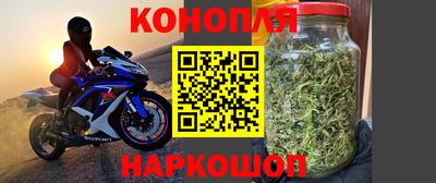 сатива Комсомольск-на-Амуре