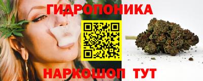 сатива Комсомольск-на-Амуре
