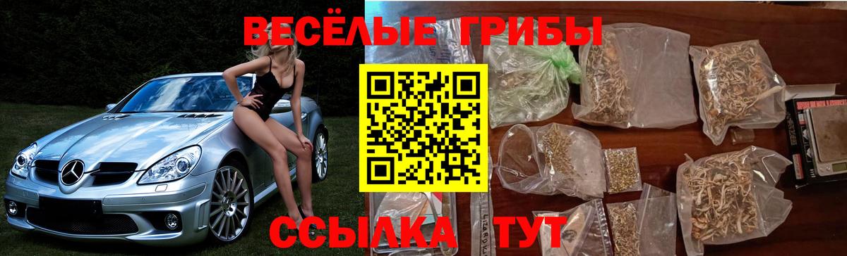 Егорьевск  Галлюциногенные грибы MAGIC MUSHROOMS  Вход с VPN 